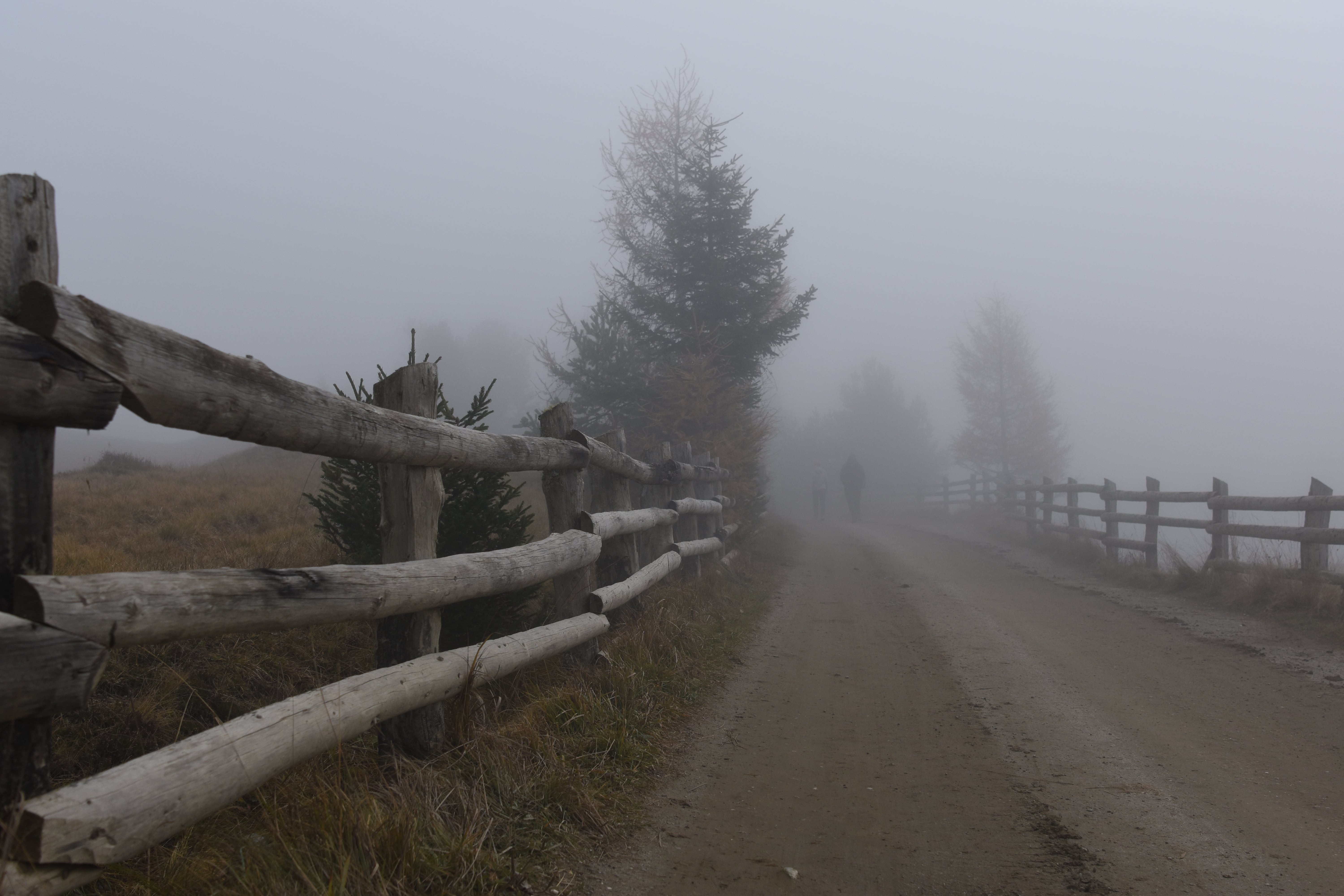 Paesaggio con nebbia